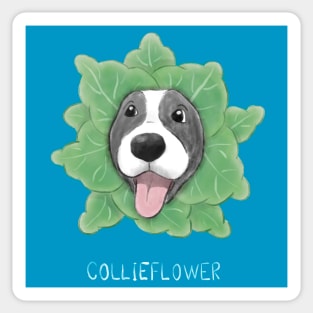 Collieflower Sticker